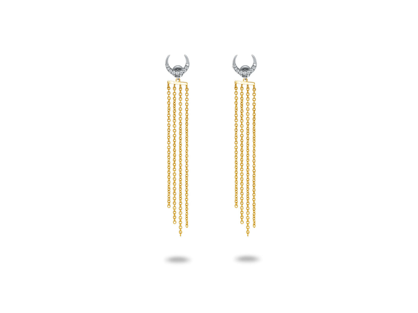 Sparkling Crescent Moon Tassel Earrings Earrings