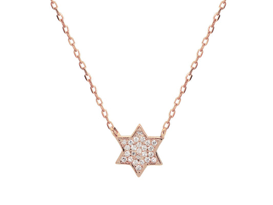 Mini Rose Star of David Necklace Necklaces