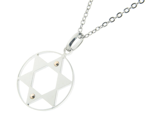 Stainless Steel & Gold Star of David Necklace Necklaces