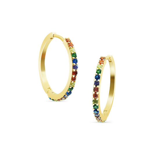 Rainbow Hoop Earring Earrings